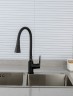 Смеситель для кухни Frap H17-6 F4417-6 Черный матовый латунь