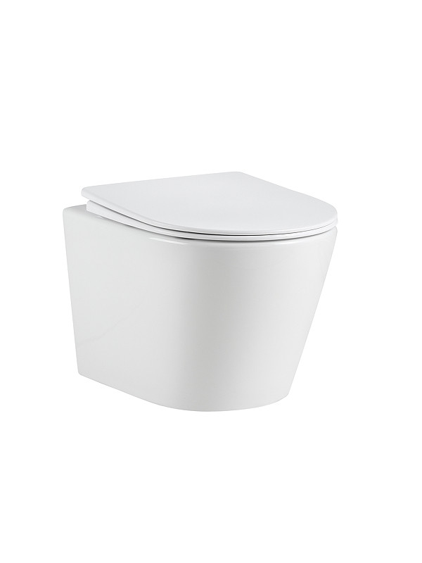 Унитаз River ONTARIO 485 WT 10000013696 подвесной цвет Белый с сиденьем микролифт