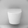 Комплект унитаза с инсталляцией AM.PM Sense FlashClean IS100138.741701 с сиденьем Микролифт и Черной матовой клавишей смыва фарфор подвесной