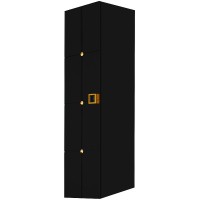 Шкаф пенал Boheme Armadi Art Vallessi Avantgarde Piazza 35 844-BG подвесной Черный Золото МДФ / ЛДСП