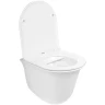 Унитаз WeltWasser Telbach 004 GL-WT 10000003668 подвесной Белый глянец с сиденьем Микролифт фаянс подвесной