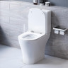 Унитаз компакт Damixa Sirius DX86C8600SC с бачком и сиденьем Микролифт
