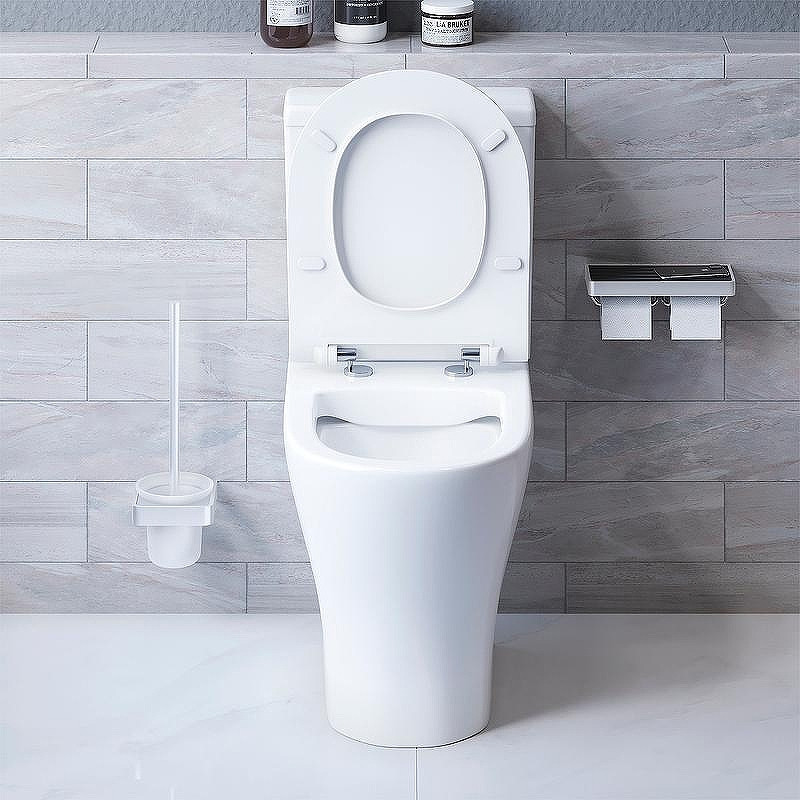 Унитаз компакт Damixa Sirius DX86C8600SC с бачком и сиденьем Микролифт