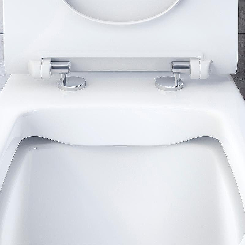 Унитаз компакт Damixa Sirius DX86C8600SC с бачком и сиденьем Микролифт