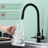 Смеситель для кухни Raglo R81.64.06 Черный матовый латунь