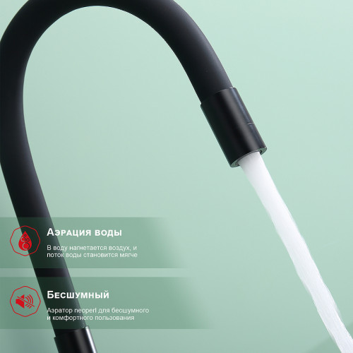 Смеситель для кухни Raglo R81.64.06 Черный матовый латунь