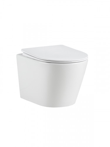 Унитаз River ONTARIO 520 WT 10000013708 подвесной цвет Белый с сиденьем микролифт