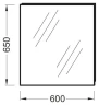 Зеркало Jacob Delafon Odeon Up 60 EB1080-NF подвесное стекло
