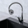 Смеситель для кухни Wisent WP58118 цвет Хром
