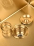 Кухонная мойка Wisent 50 WGS35050G/W02-144G цвет Золото