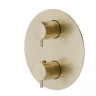 Смеситель для душа Newform X-Steel 316 69663EX.59.098 с термостатом цвет Pale Gold