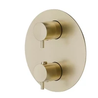 Смеситель для душа Newform X-Steel 316 69663EX.59.098 с термостатом цвет Pale Gold