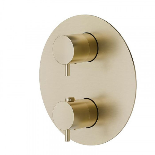 Смеситель для душа Newform X-Steel 316 69663EX.59.098 с термостатом цвет Pale Gold