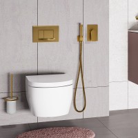 Смеситель для душа WasserKRAFT Aisch 5551 Золото матовое латунь встраиваемый