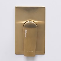 Смеситель для душа WasserKRAFT Aisch 5551 Золото матовое латунь встраиваемый