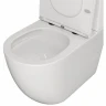 Унитаз компакт WellWant Aura WWUN2112WR цвет Белый с бачком и сиденьем Микролифт