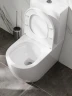 Унитаз компакт WellWant Aura WWUN2112WR цвет Белый с бачком и сиденьем Микролифт