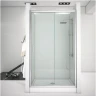 Душевая дверь Aquanet Alfa NAA6121 130 273610 профиль Хром стекло прозрачное