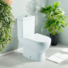 Унитаз-компакт Olive's Cadiz Bidet CDB31126DP с бачком и сиденьем Микролифт