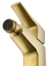 Смеситель для биде Wonzon & Woghand Flex WW-88016072-BG цвет Брашированное золото