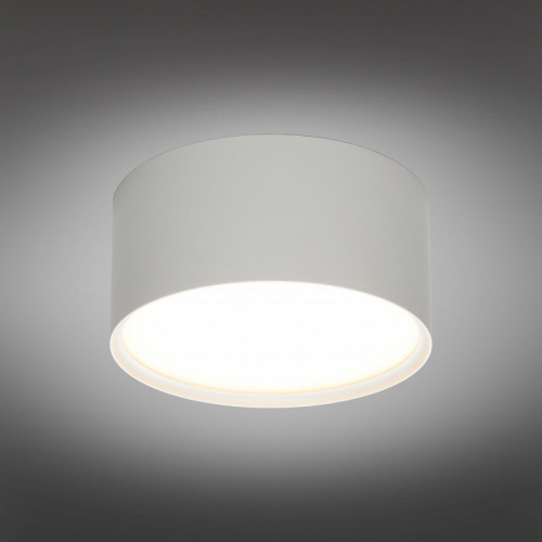 Накладной светильник Omnilux Abano OML-103309-12