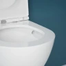 Унитаз Esbano Gardena-49T ESUPGARD49TW подвесной с сиденьем Микролифт фаянс подвесной