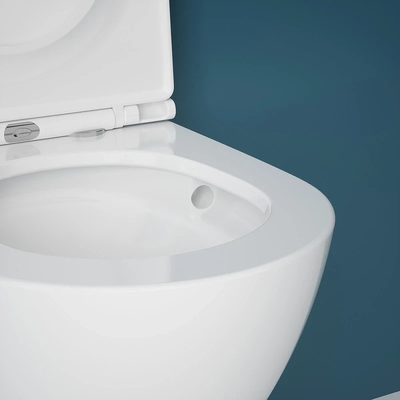 Унитаз Esbano Gardena-49T ESUPGARD49TW подвесной с сиденьем Микролифт фаянс подвесной