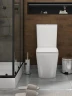 Унитаз компакт WellWant Aura WWUN2113WS цвет Белый с бачком и сиденьем Микролифт