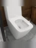 Унитаз компакт WellWant Aura WWUN2113WS цвет Белый с бачком и сиденьем Микролифт