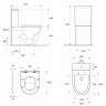 Унитаз компакт WellWant Aura WWUN2113WS цвет Белый с бачком и сиденьем Микролифт