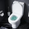 Комплект унитаза компакт AM.PM Spirit CK70DC с бачком с сиденьем Микролифт и аксессуарами для ванной комнаты фарфор напольный