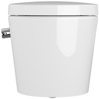Унитаз биде Vitra Nest 5176B003-6233 подвесной с сиденьем Микролифт фарфор подвесной