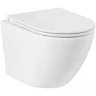 Унитаз BelBagno Sfera-R BB046CHR/BB870SC подвесной с сиденьем Микролифт фаянс подвесной