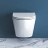 Унитаз BelBagno Sfera-R BB046CHR/BB870SC подвесной с сиденьем Микролифт фаянс подвесной