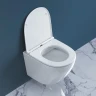 Унитаз BelBagno Sfera-R BB046CHR/BB870SC подвесной с сиденьем Микролифт фаянс подвесной