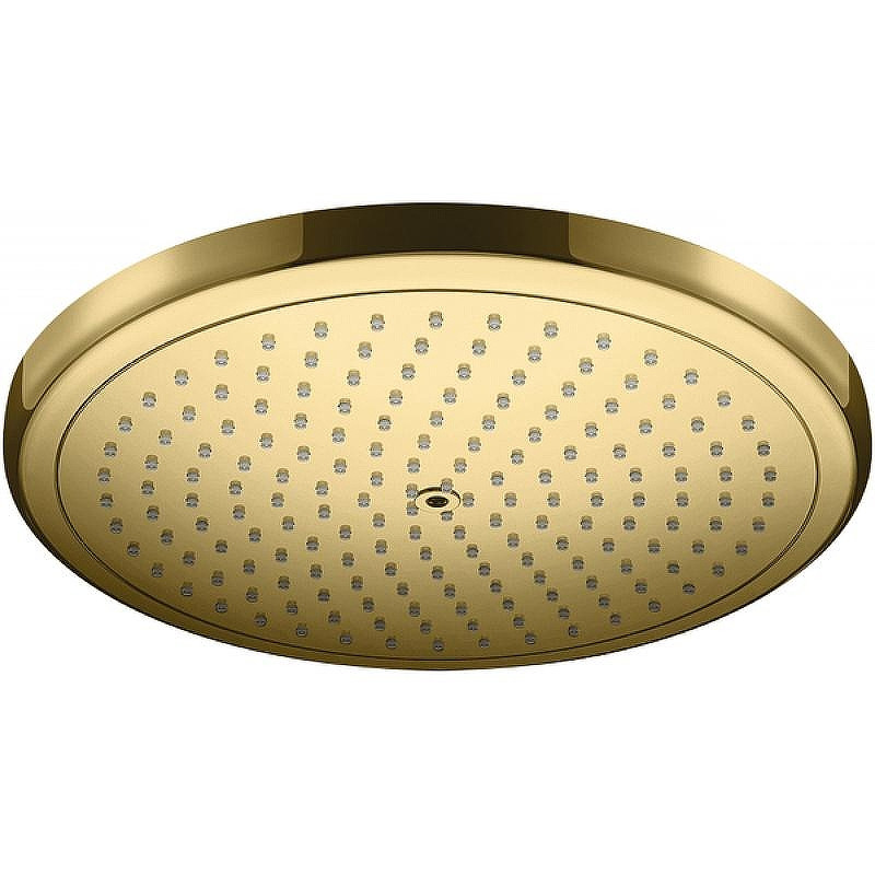 Верхний душ Hansgrohe Croma 26220990 Полированное золото