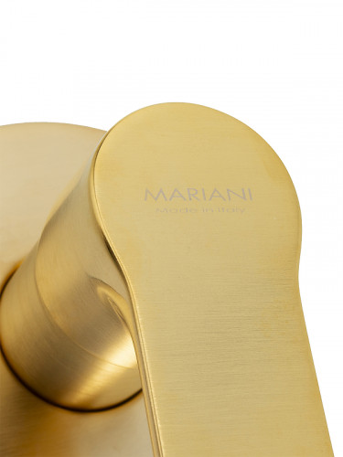 Смеситель для душа Remer Kali B22179KL цвет Золото брашированное