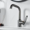 Смеситель для раковины Raffine F201T цвет Оружейная сталь