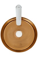 Раковина-чаша WeltWasser Elbach 3134 LSWG 35 10000004540 Белая Золотистая фаянс накладная