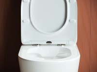 Унитаз компакт Ceramicanova Highlight Rimless CN1802-B без бачка и с сиденьем Микролифт фаянс напольный