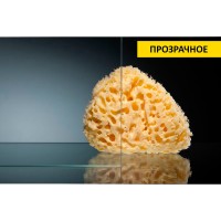 Душевая дверь RGW Classic CL-21 90 04092109-11 профиль Хром стекло прозрачное