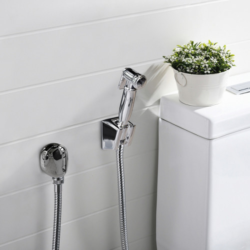 Гигиенический душ Paini Aria 53CR174KIT Хром