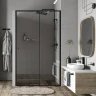 Душевая дверь WasserKRAFT Dill 110 61S13 профиль Черный матовый стекло прозрачное