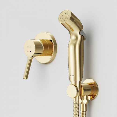 Гигиенический душ со смесителем AM.PM X-Joy S F40H85B99 цвет Золото