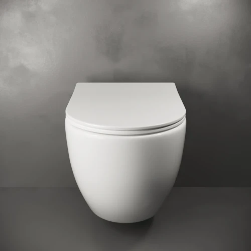 Унитаз Ceramicanova Mia Rimless CN1805 подвесной с сиденьем Микролифт фарфор подвесной