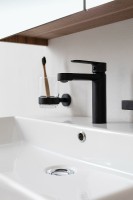 Смеситель для раковины Aquanet Passion AF300-10B 243293 Черный латунь
