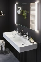 Раковина Jacob Delafon Vivienne 120 EXBL112-00 двойная Белая фарфор подвесная, накладная