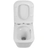 Унитаз BelBagno Ardente-Tor BB520CH-TOR подвесной без сиденья фаянс подвесной