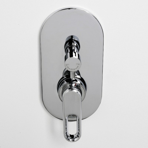 Смеситель для душа WasserKRAFT Kammel 1841 Хром латунь встраиваемый