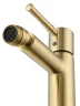 Смеситель для биде Wonzon & Woghand Tor WW-88016073-BG цвет Брашированное золото